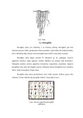 Raštas ir jo raida referatas 7 puslapis