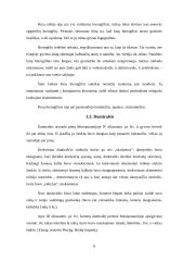 Raštas ir jo raida referatas 8 puslapis