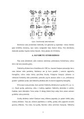 Raštas ir jo raida referatas 9 puslapis