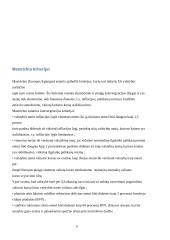 Vieningos valiutos svarba tarptautinei prekybai 6 puslapis