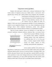 Plokščiojo kondensatoriaus tyrimas. Laboratorinis darbas 3 puslapis