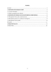 Monopolijos formavimosi ypatybės, pelno maksimizavimas 2 puslapis