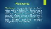 Plaukuotosios galvos dalies ypatumai 4 puslapis
