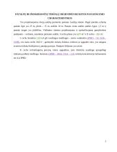 Pramonės pastato vėdinimas 3 puslapis