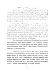 Triušienos, nutrijienos gamybos analizė gamybinėmis sąlygomis 3 puslapis