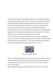 Triušienos, nutrijienos gamybos analizė gamybinėmis sąlygomis 9 puslapis