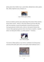 Triušienos, nutrijienos gamybos analizė gamybinėmis sąlygomis 10 puslapis