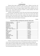 IĮ „Moliuskva“ verslo planas 11 puslapis