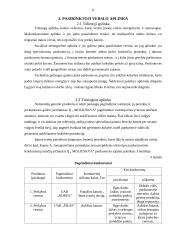 IĮ „Moliuskva“ verslo planas 8 puslapis