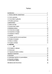 Individualioji įmonė “Parketas” 2 puslapis