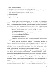 Individualioji įmonė “Parketas” 11 puslapis