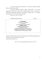 Individualioji įmonė “Parketas” 13 puslapis