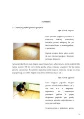 Individualioji įmonė “Parketas” 14 puslapis