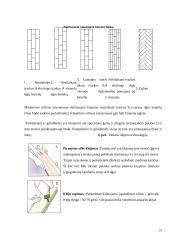 Individualioji įmonė “Parketas” 16 puslapis