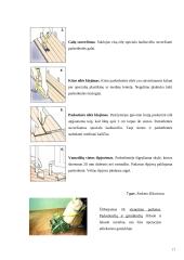 Individualioji įmonė “Parketas” 17 puslapis
