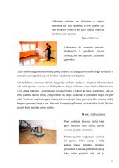 Individualioji įmonė “Parketas” 19 puslapis