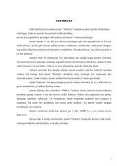 Individualioji įmonė “Parketas” 3 puslapis