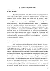 Individualioji įmonė “Parketas” 4 puslapis