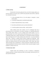 Individualioji įmonė “Parketas” 8 puslapis