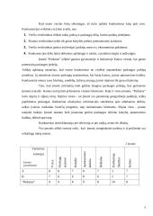 Individualioji įmonė “Parketas” 9 puslapis