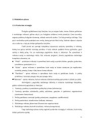 Individualioji įmonė “Parketas” 10 puslapis