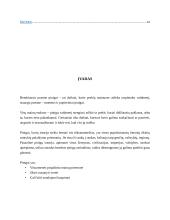 Pinigų istorija referatas 2 puslapis