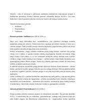 Pinigų istorija referatas 4 puslapis