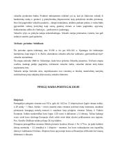 Pinigų istorija referatas 5 puslapis