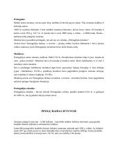 Pinigų istorija referatas 6 puslapis