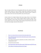 Pinigų istorija referatas 8 puslapis