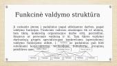 Organizacijos struktūros samprata "Maxima" 9 puslapis