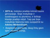 Maironis skaidrės 12 puslapis