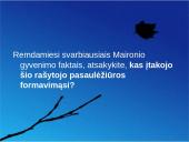 Maironis skaidrės 19 puslapis