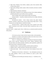 Logistikos savarankiškas darbas 11 puslapis