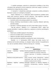 Logistikos savarankiškas darbas 6 puslapis