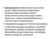 Prevencinių grupių bendruomenėje steigimas 12 puslapis