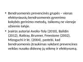 Prevencinių grupių bendruomenėje steigimas 4 puslapis