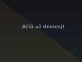 Ozono sluoksnio plonėjimo priežastys ir pasekmės 13 puslapis