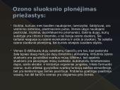 Ozono sluoksnio plonėjimo priežastys ir pasekmės 8 puslapis