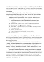 Garbė vyriškumo ir moteriškumo kūrime 3 puslapis