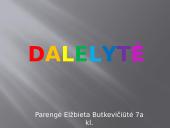 Dalelytė pristatymas