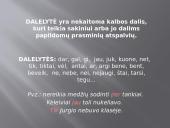 Dalelytė pristatymas 2 puslapis