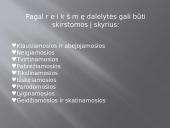 Dalelytė pristatymas 3 puslapis