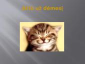 Dalelytė pristatymas 9 puslapis