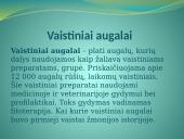 Augalų teikiama nauda žmonėms 2 puslapis