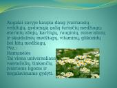 Augalų teikiama nauda žmonėms 3 puslapis