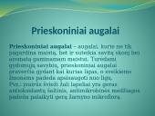 Augalų teikiama nauda žmonėms 5 puslapis