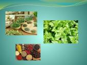 Augalų teikiama nauda žmonėms 6 puslapis