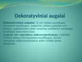 Augalų teikiama nauda žmonėms 7 puslapis