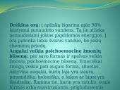 Augalų teikiama nauda žmonėms 8 puslapis